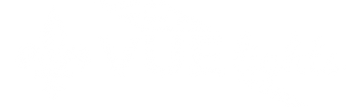 VUE lights
